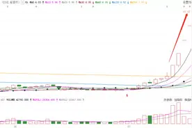 5连板牛股跌停！上半年预亏过亿，“免税”概念糊了？图片