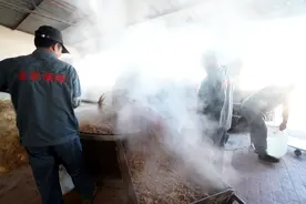 留守老人的幸福岗位：酒随便喝，种地不耽搁，老板总劝大家要多喝图片