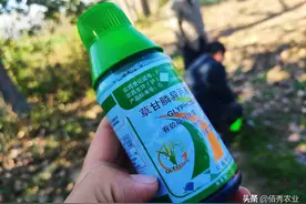 5元能配出高效草甘膦？农民应该了解的使用技巧，长效除草并不难图片