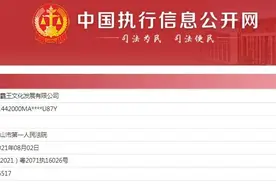 童年回忆小霸王怎么了？被执行总金额约911万图片