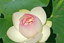 当你发了一条微信，对方迟迟不回复，你遇到过吗图片