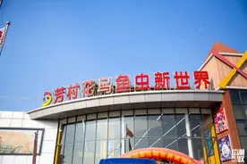 芳村花鸟鱼虫市场逆袭回归！10万㎡+8大展馆+花卉园图片