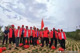 宜阳县上观乡：困难群众桃园里来了志愿者图片