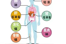 八个影响身体解毒的因素图片