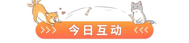 һֻҪǮ