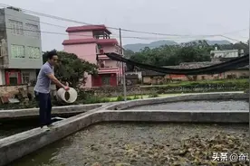 42岁的农村人，凭啥用20平方米的鱼池，养殖出7000斤塘角鱼图片