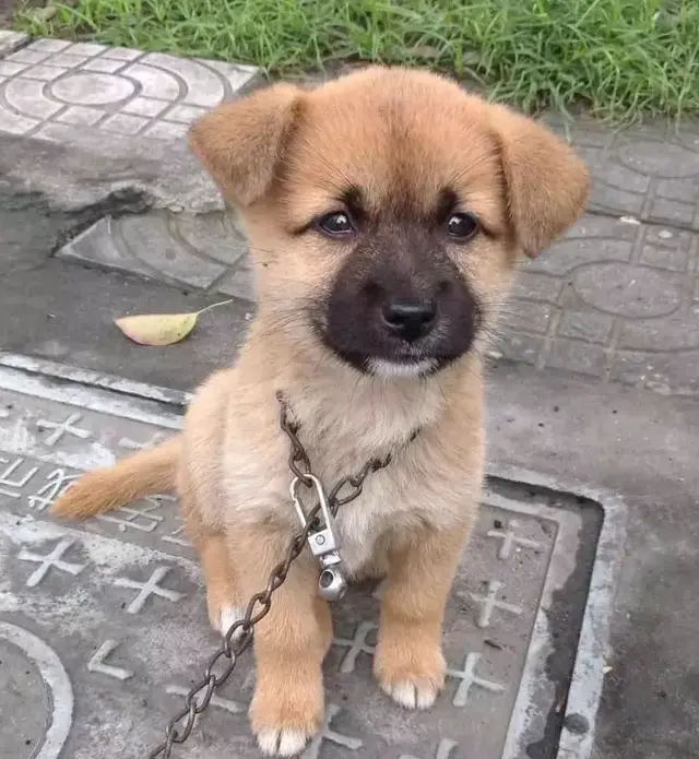л԰Ȯֵжߣ