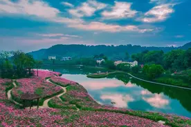 【重庆风景名胜】天坪山云林天乡景区图片