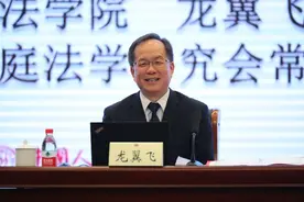 龙翼飞：民法典婚姻家庭编新规理解与适用图片
