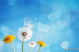 倦怠乏力总想睡觉，不只是脾虚图片