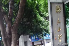 重庆树人小学：10大校区详情汇总，到底哪几家最厉害？图片