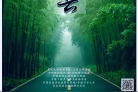 「天府名县」中国竹海，川南鱼米之乡，长久安宁之地——长宁县图片