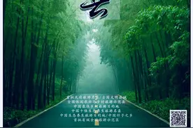 「天府名县」中国竹海，川南鱼米之乡，长久安宁之地——长宁县图片