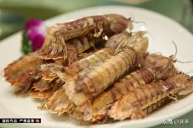 渤海湾最好的皮皮虾产自这里，你知道吗？图片