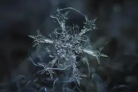 零下273.15的绝对零度有多可怕？专家：时间和空间毫无意义图片