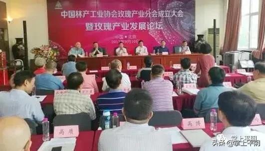 今天,平阴向全世界发出邀请!