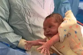 最“粘人”新生儿走红，刚出娘胎便要抱抱，妈妈没有白辛苦十个月图片