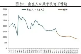 专家王强建议：年轻人生育后贷款买房免息20年图片