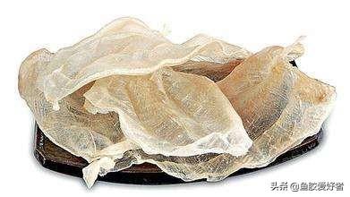 蜘蛛片鱼胶为什么便宜 2026年蜘蛛片鱼胶为什么便宜了