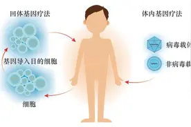 基因疗法：单基因遗传疾病患者治愈的新希望图片