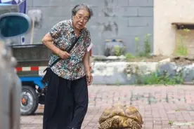 老奶奶养乌龟13年，有人出价3万没卖，如今不知如何处理求支招图片