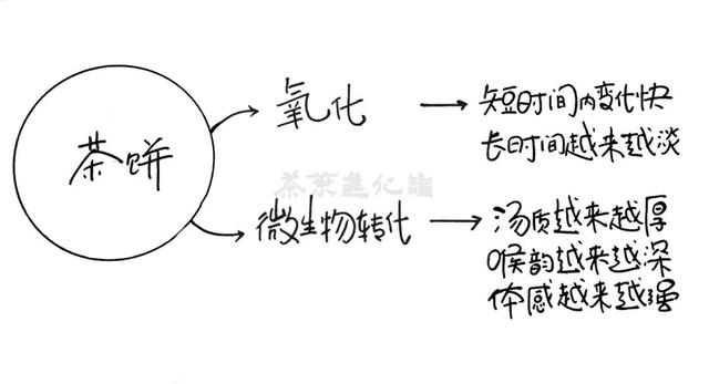从藏茶客角度：只靠喝，能选出一款有存放潜力的茶吗？（下）