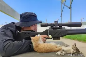 部队里有只军猫是什么体验？这就是铁汉和柔情了吧图片