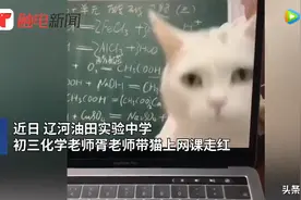 “别都看猫得听课啊！”这位带猫上网课的化学老师火了（网友用户名删）图片