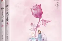言情 情根深种 不负韶华《夫人笑靥美如画》图片