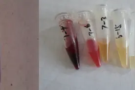 应对非洲猪瘟，猪场日常管理生物安全细节（五）图片