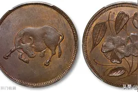 四川铜币能换一套房吗？图片