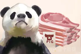 掌握猪“芯片”！丹麦1年对华出口超21万吨猪肉，有何养猪秘诀？图片