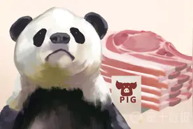 掌握猪“芯片”！丹麦1年对华出口超21万吨猪肉，有何养猪秘诀？图片