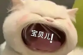 情侣表情包｜我只是一只想你的小狗图片