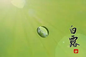 后天白露，白露是什么意思？什么时候真正凉快？看完明白了图片