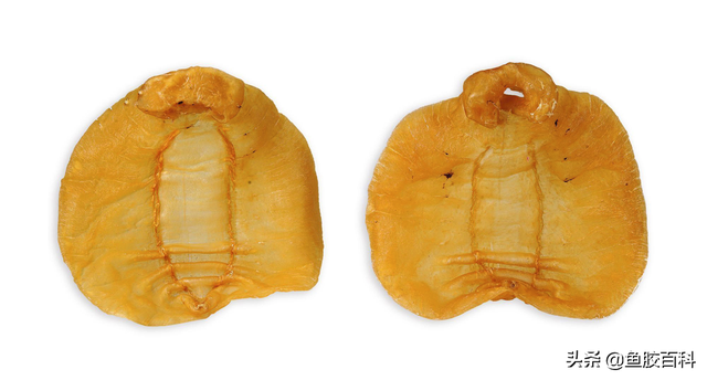 100头花胶是什么意思 100头的花胶好不好