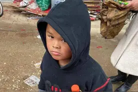 追逐小马云：一场无止尽的流量之旅图片