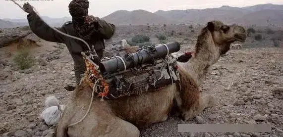 骆驼背上的枪炮，现实版的合金弹头