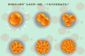 在怀孕早中晚三个阶段，胎宝分别有“三怕”，准妈妈要牢记图片