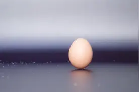 怎样才能让鸡蛋立起来？神奇的科学实验，你知道原理吗