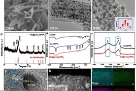 快速微波法合成部分碳化的导电MOF负载Ru用于高效析氢反应图片