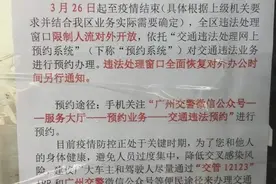 番禺10个交通违法处理窗口服务工作恢复！办理业务需提前预约图片