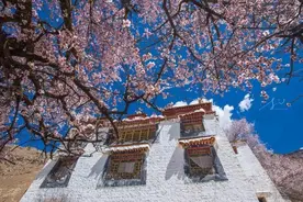 西藏是人间天堂，世界上最后一片净土图片