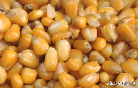 钓鱼精小药泡制自制饵料的详细配方，赶紧收藏起来