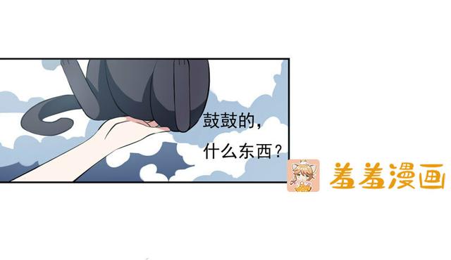 夜路走多了，竟捡到宝，带着巨钻的小黑猫一只