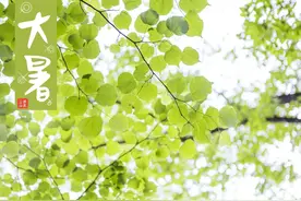 迪拜境内落地签延长签证1个月/3个月图片