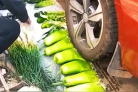 广东广州，女子开车压烂路边摊蔬菜，大妈高兴道：“200块拿走”图片