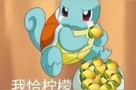 世界表情包日：村通网？不懂这些梗，你好意思网上冲浪吗？图片