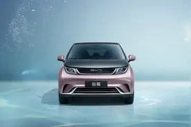 比亚迪海豚：身板虽小，能力很大？图片