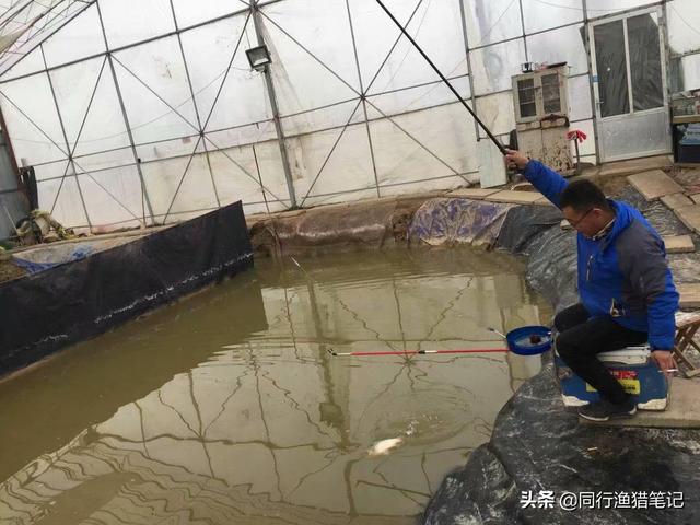 锚鱼的方法和技巧（正确的锚鱼方法）
